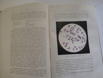 Prof. Dr. Erhard Riecke - Manuale delle malattie celtiche -