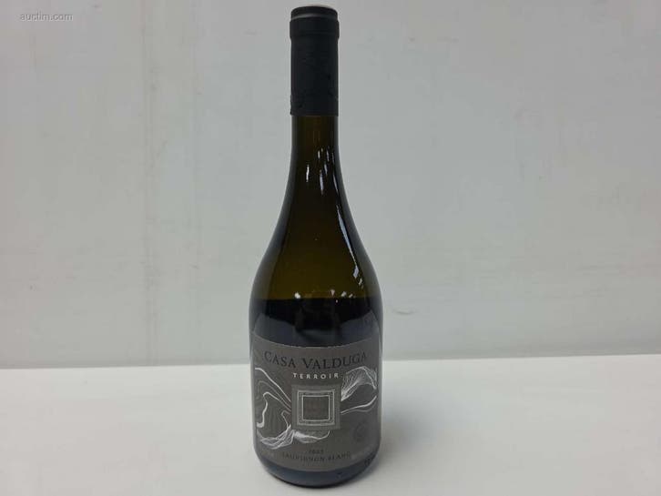 (11x) fles(sen) Casa Valduga Sauvignon blanc 75, Collections, Vins