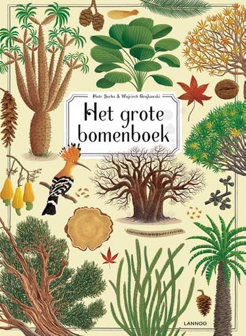 Het grote bomenboek 9789401452526 Wojciech Grajkowski, Verzenden, Zo goed als nieuw, Wojciech Grajkowski