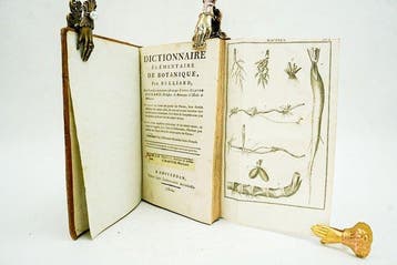 Pierre Bulliard & Louis-Claude Richard - Dictionnaire