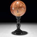 Prachtig paar versteend hout- en palmwortelbollen op maat