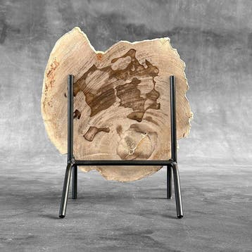 Magnifique tranche de bois pétrifié sur un socle