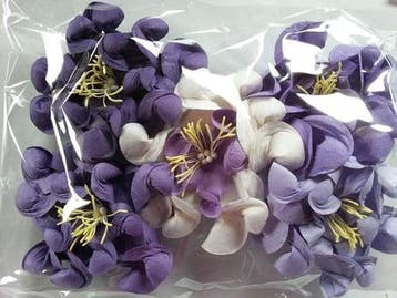 Mulberry Gardenia Mixed Purple Big pak 5 stuks