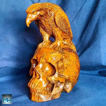 Sculptuur van een kraai op een menselijke schedel, met de