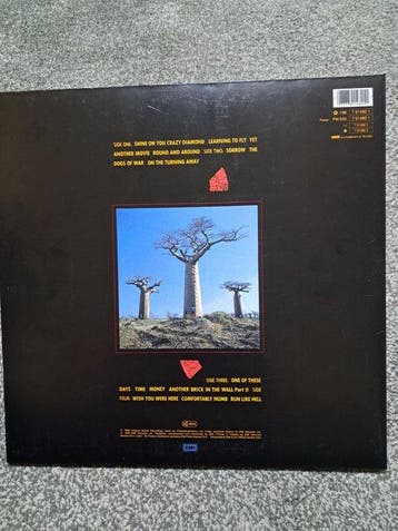 Pink Floyd - Delicate Sound of Thunder - 2x albums LP, Nieuw in verpakking