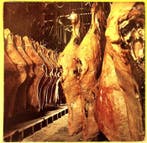 Edgar Broughton Band - Edgar Broughton Band (Germany 1977, Nieuw in verpakking