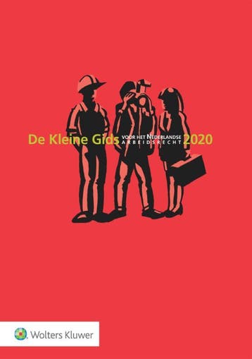 De Kleine Gids voor het Nederlandse Arbeidsrecht 2020, Boeken, Verzenden, Zo goed als nieuw, Mark Diebels