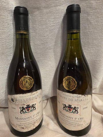 1999 Jacques de Merial Domaine du Château de Davenay -