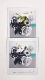 Maurizio Galimberti (1956–) - BiFlowers - 11641, Antiquités & Art, Art | Objets design