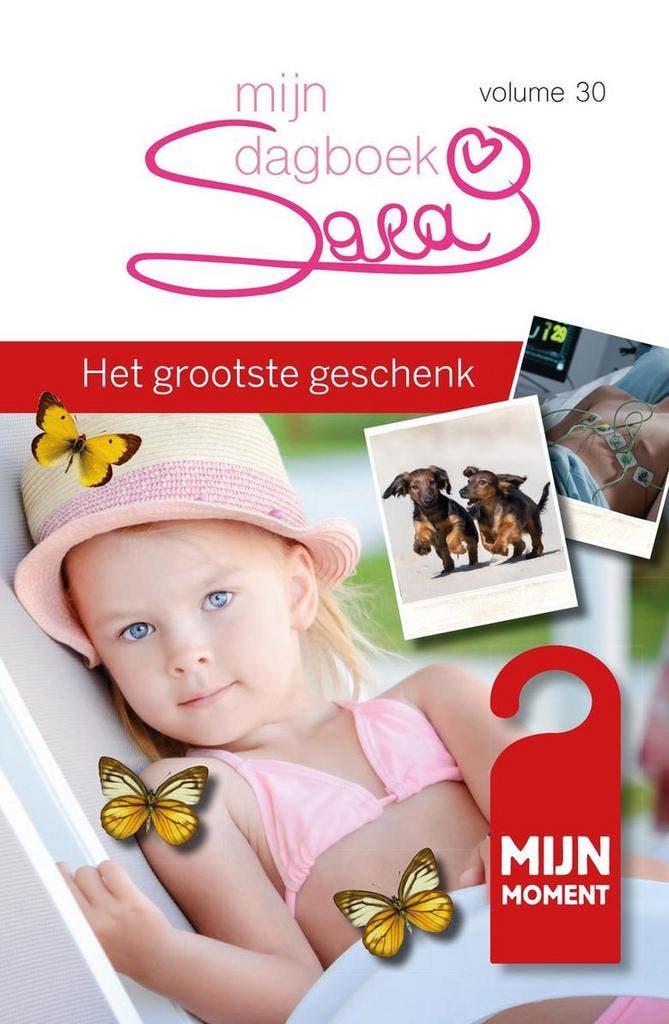 Het grootste geschenk / Sara mijn dagboek / 30 9789492328311, Boeken, Romans, Zo goed als nieuw, Verzenden