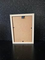 Vlinder Taxidermie volledige montage - Lepidoptera - 21 cm -, Nieuw
