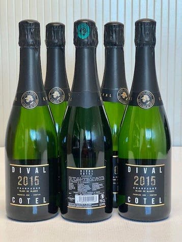 2015 Dival Cotel - Champagne Blanc de Blancs, Premier Cru -