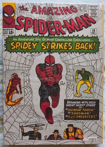 Spider-Man - Marvel Comics Library: Spider-Man, Vol. 1