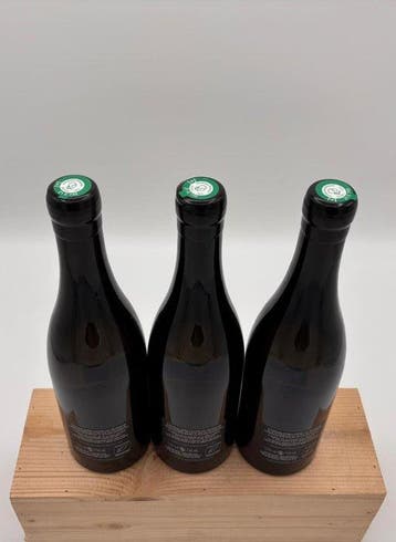 2022 Morey-Coffinet - Chassagne-Montrachet - 3 Flessen (0.75, Nieuw