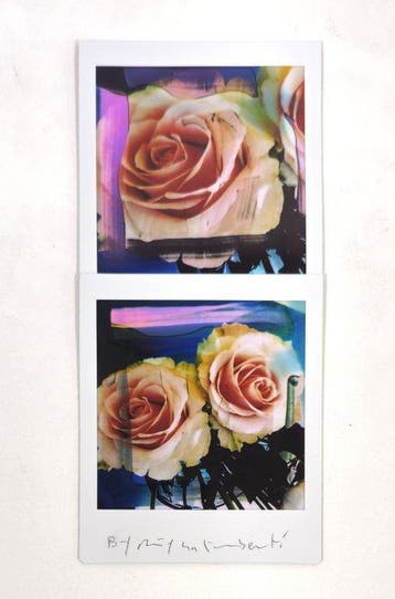 Maurizio Galimberti (1956–) - BiFlowers - 11634