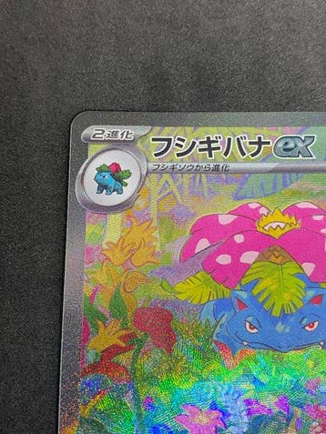 Pokémon - 1 Card - Florizarre #200/165 SAR - Scarlet &