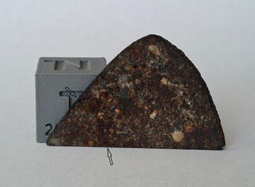 NWA 7162 Chondrite CHONDRULE PARTY! PAS DE PRIX DE RÉSERVE -