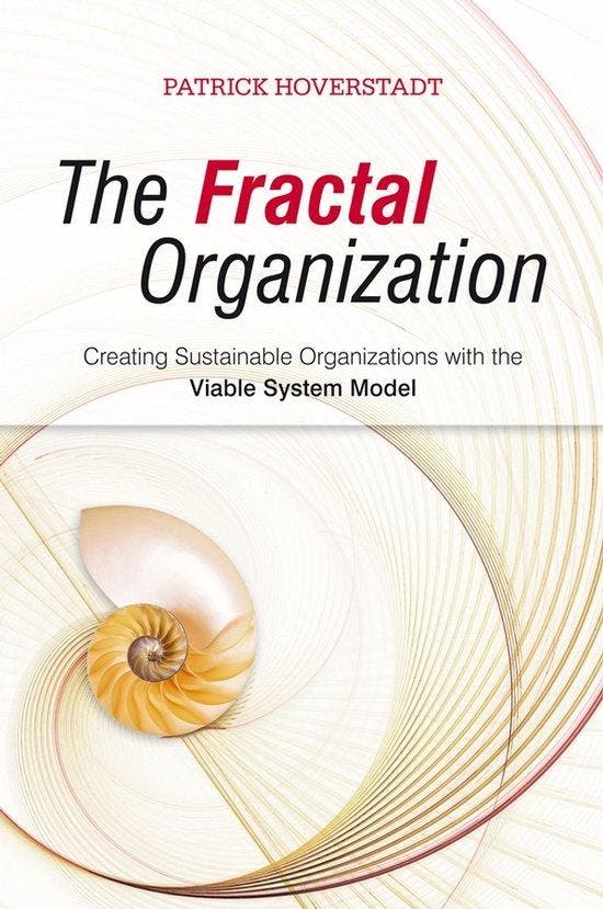 Fractal Organization 9780470060568 Patrick Hoverstadt, Boeken, Taal | Engels, Gelezen, Verzenden