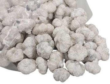 Beachfruit paras peepal mini pompoentjes white wash ca. 500, Nieuw