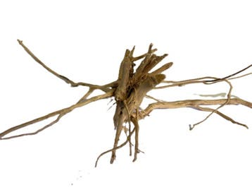Driftwood Selected DW30 - 55x39x22cm (Small drift wood), Ophalen of Verzenden, Nieuw, Plant(en), Steen of Hout