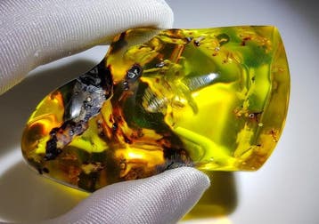 FOSSlL-AMAZING!! Dominicaans amber- 48.09 g, Verzamelen
