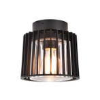 Buitenverlichting plafond &amp; veranda Shyne Plafondlamp Zw, Verzenden, Minder dan 50 watt, Plafondlamp, Nieuw