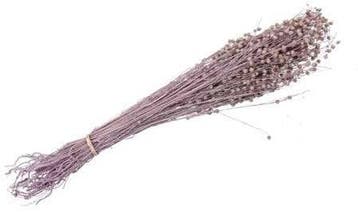 Lino Grass Vlas Linum Droogbloem Bundel Pink 100 gram, Nieuw