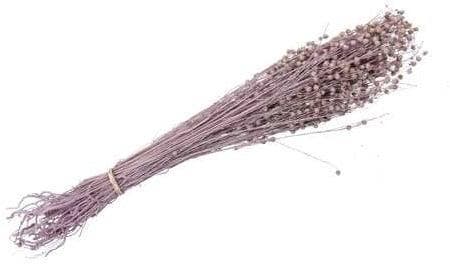 Lino Grass Vlas Linum Droogbloem Bundel Pink 100 gram, Huis en Inrichting, Woonaccessoires | Kunstplanten en Kunstbloemen, Nieuw