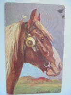 Les chevaux - Carte postale (40) - 1900-1980