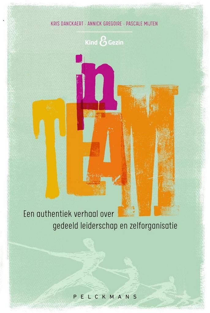 inTEAM 9789463371254 Kris Danckaert, Livres, Économie, Management & Marketing, Envoi