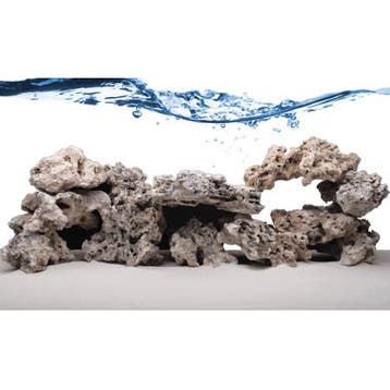 Fiji Skeleton Rock - ronde stukken (dood) levend steen (10KG, Verzenden, Nieuw
