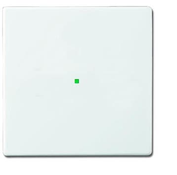 ABB Busch-Jaeger Busch-FreeAtHome Bedieningselement/Centrale, Verzenden