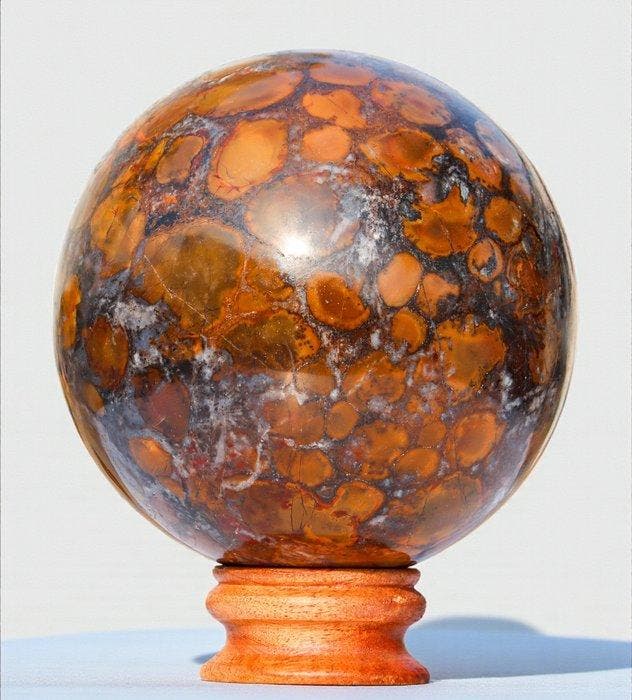 Massieve 160 mm Cobra Jasper Bol – Zeldzaam orbiculair, Verzamelen, Mineralen en Fossielen