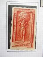 Frankrijk 1924 - Prachtige serie vignetten voor de