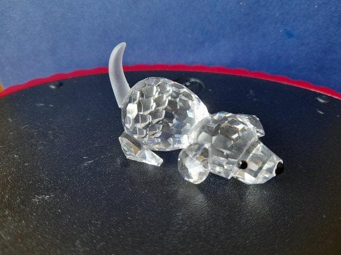 Swarovski - Beeldje - Beagle playing - 172296 - Box +, Antiek en Kunst, Curiosa en Brocante