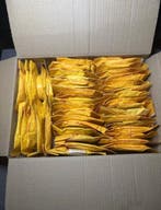Kodak Super 8 Film Archive (1970s) – Pilgrimage Jerusalem,, Verzamelen
