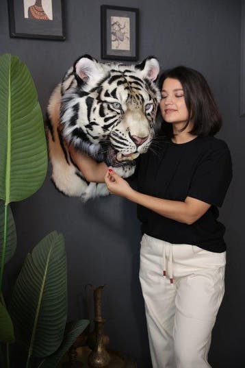 Tijger Taxidermie replica montage - White Tiger (Panthera, Nieuw
