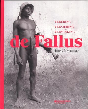 De fallus 9789058268358 Johan Mattelaer, Verzenden, Gelezen, Johan Mattelaer