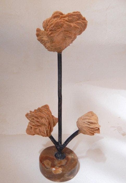 Rose de sable Cristaux sur matrice - Hauteur : 23 cm -, Collections, Minéraux & Fossiles