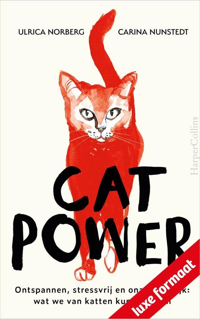 Cat power 9789402711943 Ulrica Norberg, Boeken, Psychologie, Zo goed als nieuw, Verzenden