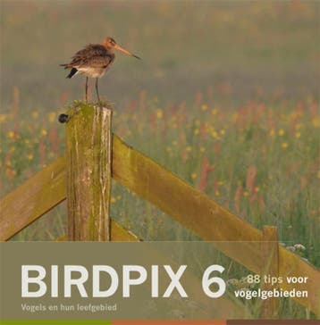 Birdpix / 6 Vogels en hun leefgebied / Birdpix / 6, Verzenden, Daan Schoonhoven
