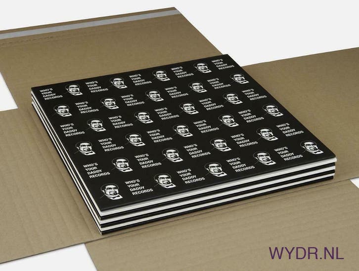 50 Verzenddozen Voor 1-12 LP’s - Universele Elpee Mailer, CD & DVD, Vinyles | Néerlandophone, Envoi