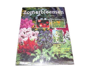 ZOMERBLOEMEN 9789062488360 Hanneke van Dijk, Verzenden, Gelezen, Hanneke van Dijk