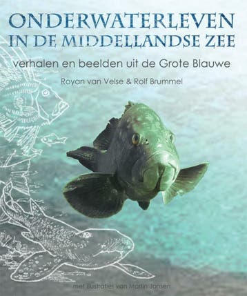 Onderwaterleven in de Middellandse Zee 9789048420834, Verzenden, Zo goed als nieuw, Rolf Brummel