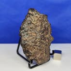CK koolstofhoudende chondriet meteorit. Prachtig, volledig, Collections