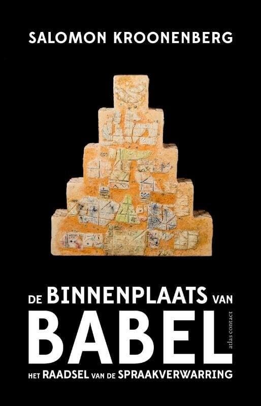 De binnenplaats van Babel (9789045026053), Boeken, Overige Boeken, Nieuw, Verzenden