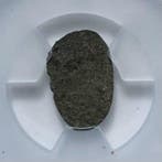 China, Warring States Period, State Chu AE Ant-nose Coin