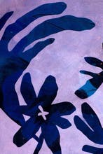 Lupo - Urban Jungle 397 - Certificated - Pink - XXL