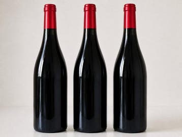 2023 Domaine La Bergerie de lArcade - Languedoc - 3