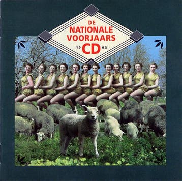 Various - De Nationale Voorjaars CD 1993, Verzenden, Gebruikt
